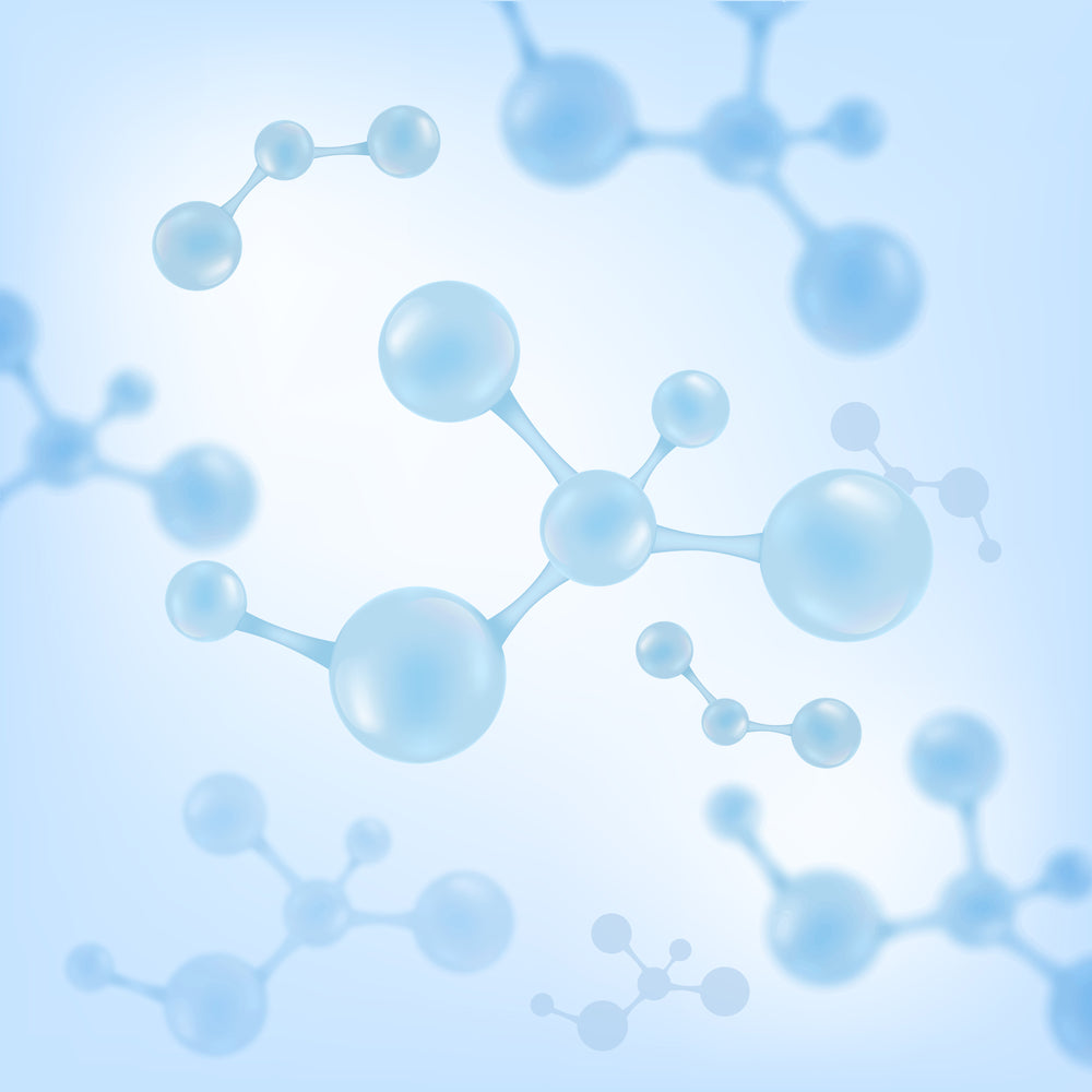 The Renewal Coenzyme