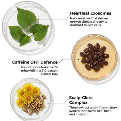 Exosome Hair Serum for Hair Regrowth